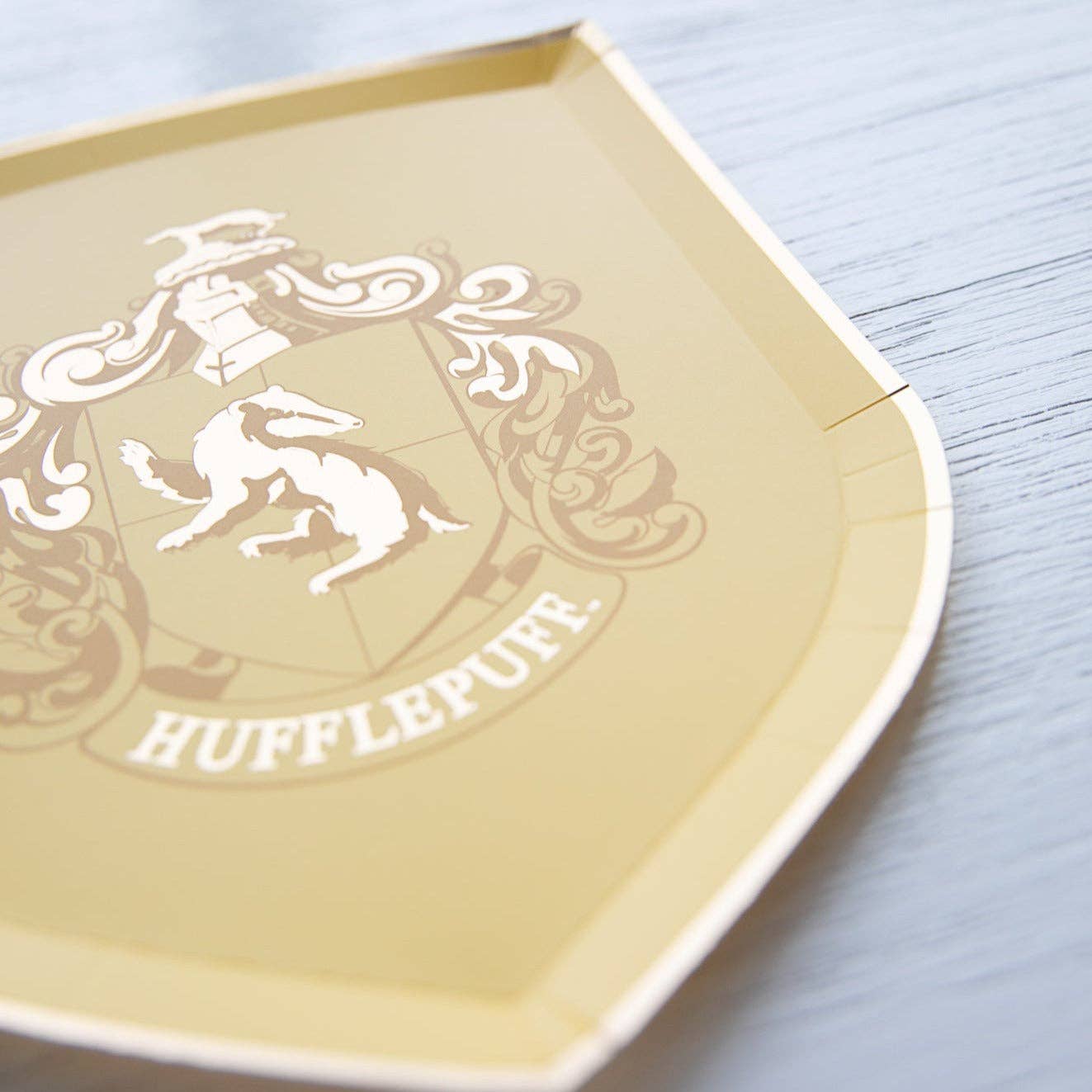HARRY POTTER X BONJOUR FÊTE HOUSE PRIDE SMALL PLATES