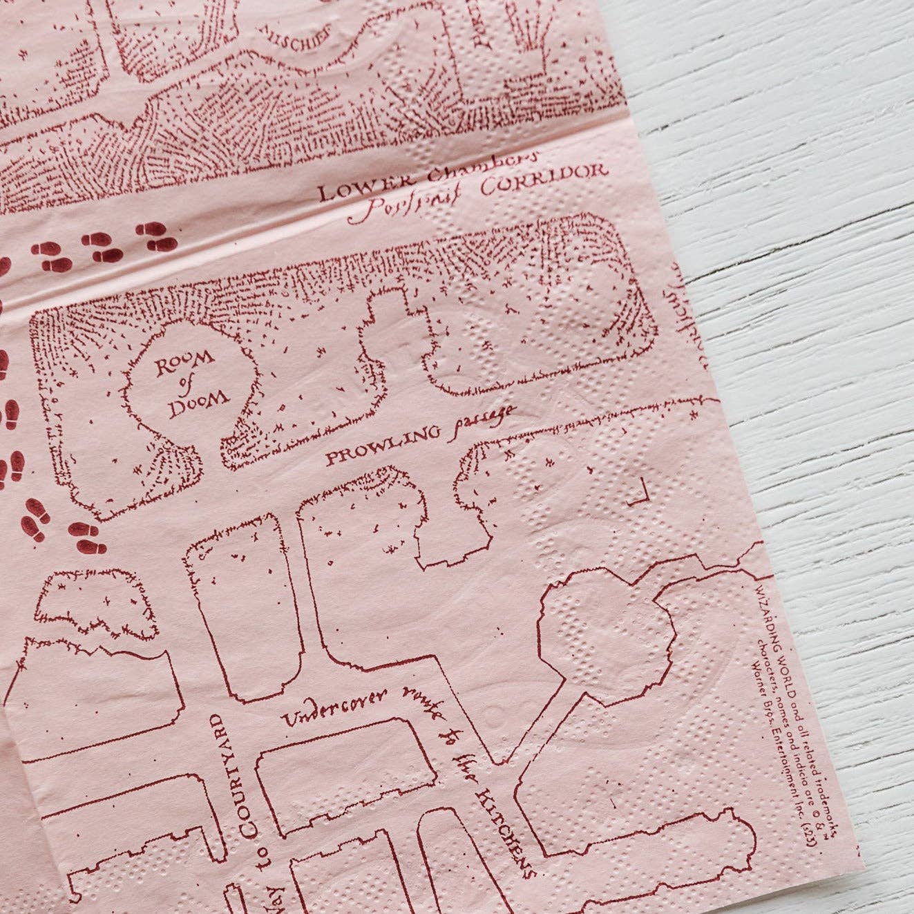 HARRY POTTER X BONJOUR FÊTE HOUSE PRIDE SMALL PARTY NAPKINS