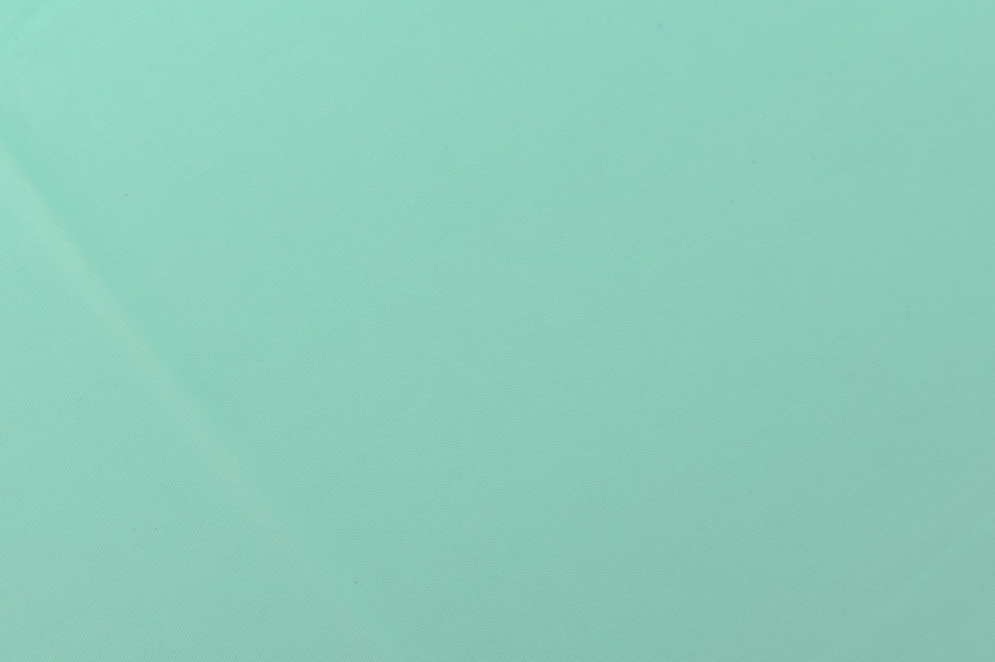 Mint Disposable Plastic Tablecloth - 54 in. x 108 in.