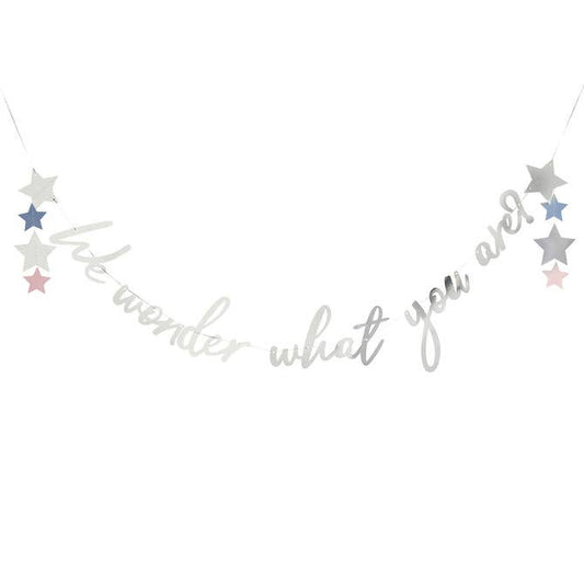 We Wonder What You Are? Banner 2M