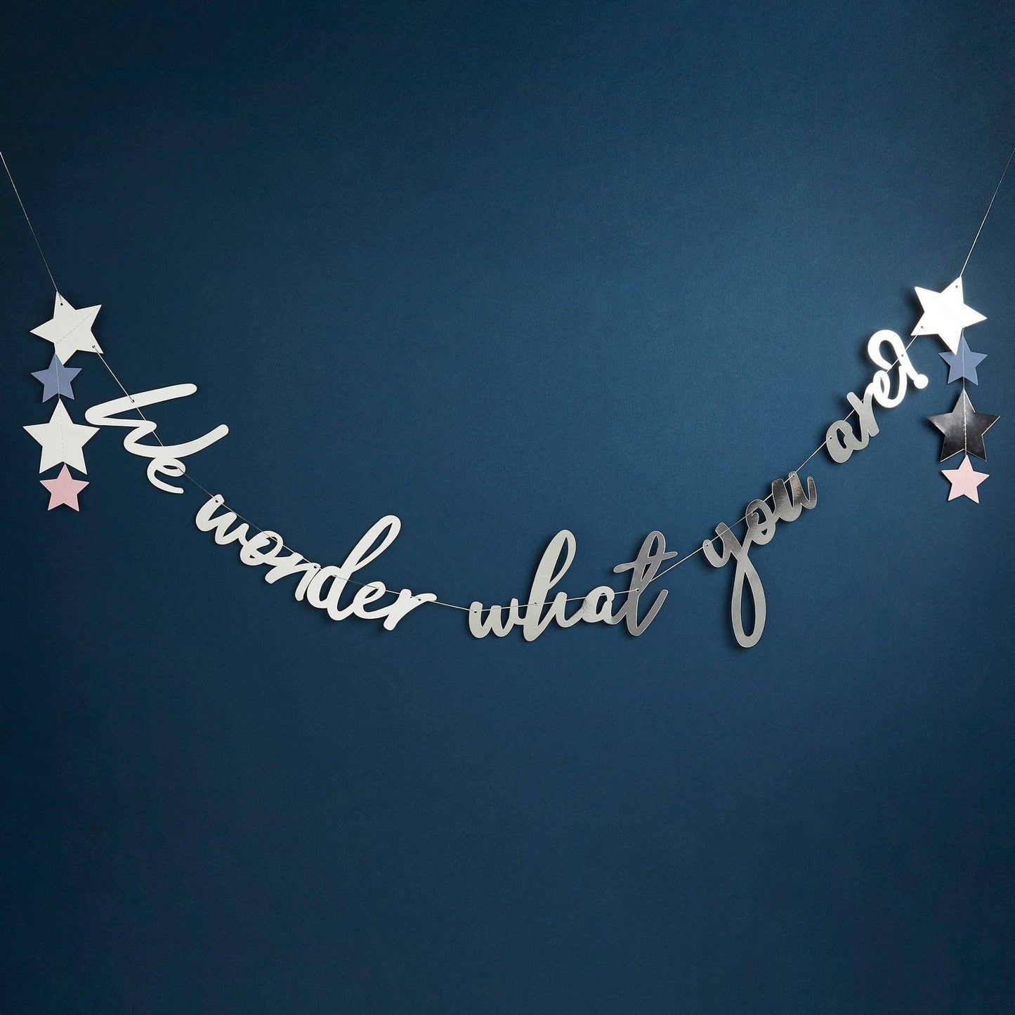 We Wonder What You Are? Banner 2M